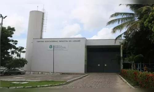 Após comerem baratas envenenadas, jovens são hospitalizados