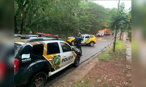 Após tentar fugir da PM, criminoso cai em córrego e morre