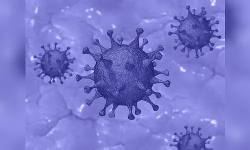 Apucarana confirma mais 22 casos de Covid-19 neste domingo