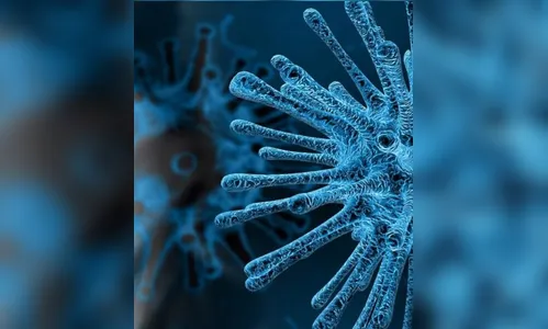 Apucarana confirma mais 3 óbitos e 95 novos casos de Covid