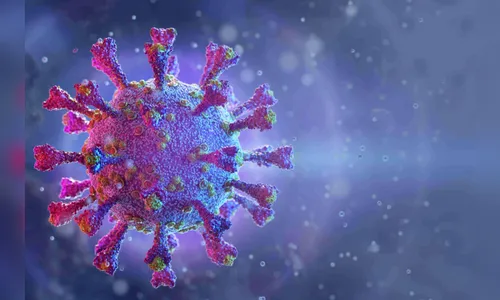 Apucarana confirma mais 33 casos de Covid-19