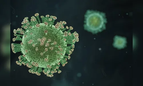 Apucarana confirma mais 4 óbitos e 81 novos casos de Covid