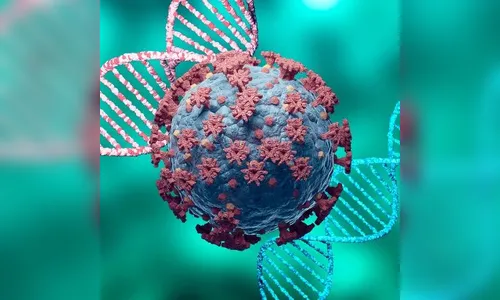 Apucarana confirma mais 4 óbitos e 93 novos casos de Covid