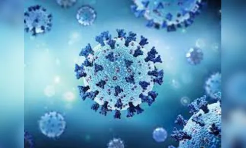 Apucarana registra 2 óbitos e 48 novos casos de Covid-19