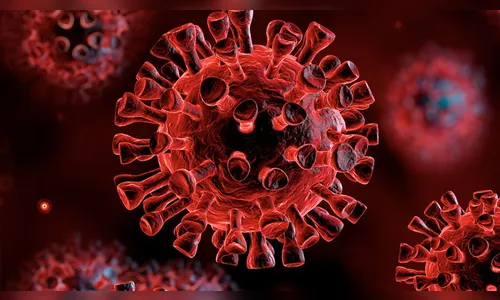 Apucarana registra mais 4 óbitos e 42 novos casos de Covid
