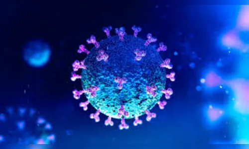 Apucarana registra mais 4 óbitos e 61 novos casos de Covid