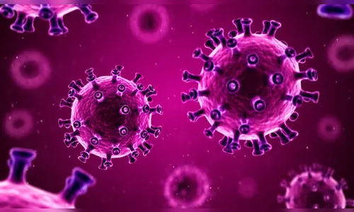 Apucarana registra mais 40 casos de Covid-19