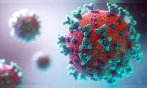 Apucarana registra mais 95 novos casos de Covid e 4 óbitos