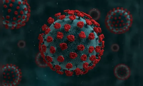 Arapongas registra 101 novos casos de coronavírus e 1 óbito