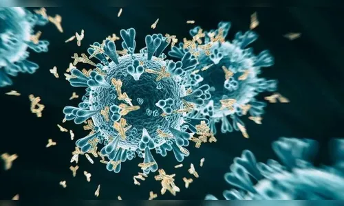 Arapongas registra 106 novos casos de Covid e 4 óbitos