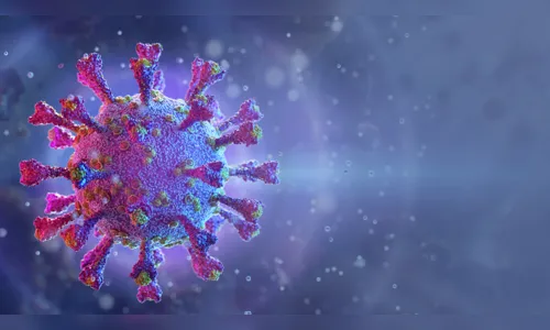 Arapongas registra 21 novos casos e 02 óbitos pela Covid-19