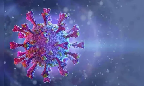 Arapongas registra 28 novos casos e 03 óbitos por Covid-19