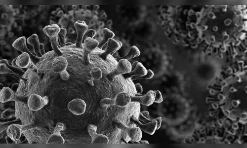Arapongas registra 8 mortes e 160 novos casos da Covid-19
