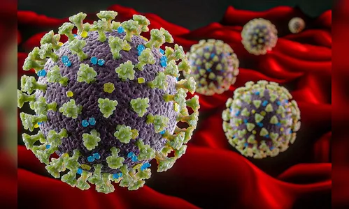 Arapongas registra114 curados e 2 óbitos por Covid-19