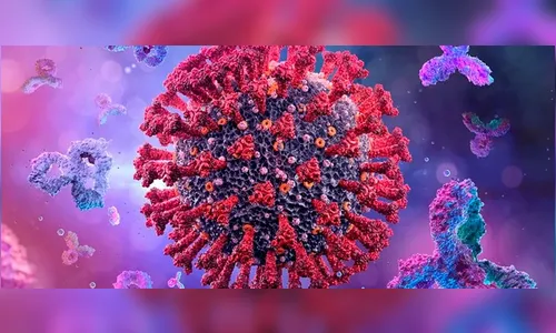 Arapongas tem duas mortes e 118 novos casos de coronavírus