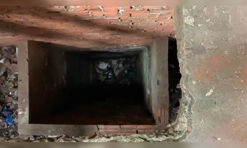 Bombeiros resgatam mulher que caiu em buraco de 8 metros