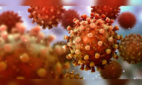 Brasil registra 2.080 óbitos por covid-19 em 24 horas