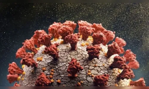 Brasil registra 739 mortes e 33.704 novos casos em 24h