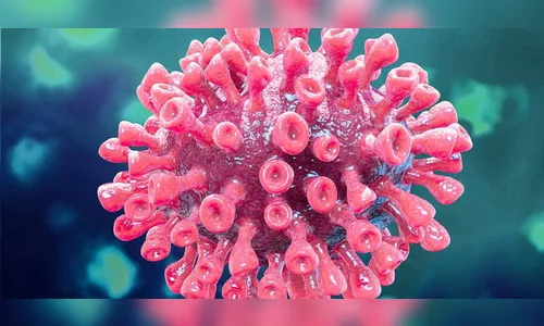 Brasil tem mais de 80 milhões de vacinados contra Covid