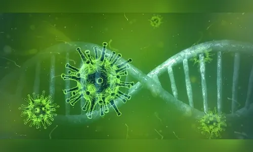 Brasil ultrapassa marca de 540 mil óbitos para a covid-19