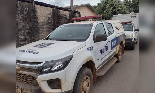 Cachorro desenterra corpo de bebê morto no quintal