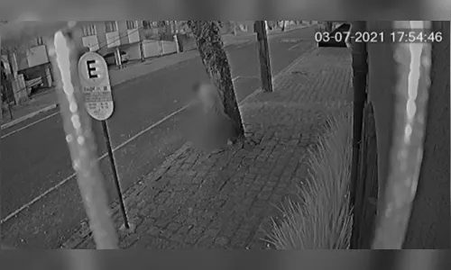 Câmera flagra homem defecando na frente de restaurante