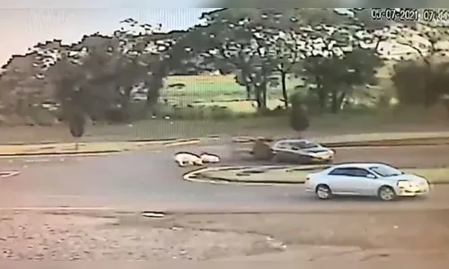 Câmera flagra porcos caindo de reboque em rodovia no PR