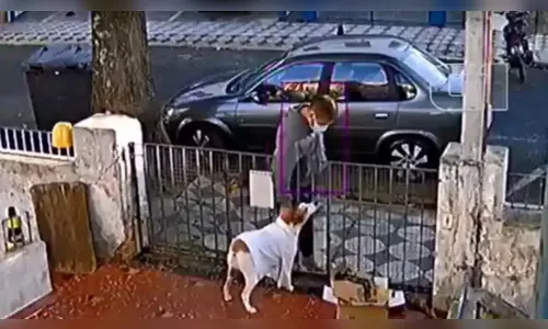 Câmera registra homem furtando roupa de cadela; vídeo