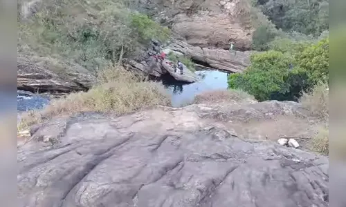 Casal foge de abelhas, pula em cachoeira e morre afogado