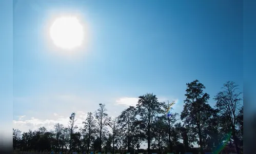 Céu claro e temperaturas amenas devem prevalecer no domingo