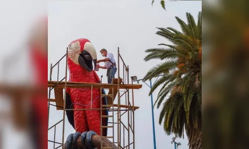 Ruas de Arapongas vão ganhar esculturas de pássaros