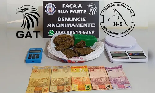 Com ajuda do cão Zeus, GM prende homem com maconha