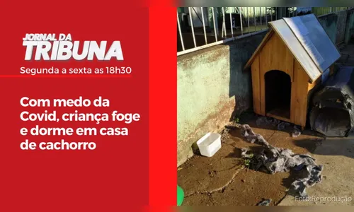 Com medo da Covid, criança foge e dorme em casa de cachorro