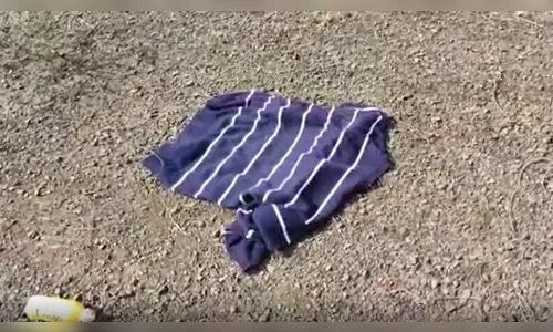 Criança encontra cadáver em pasto em Londrina