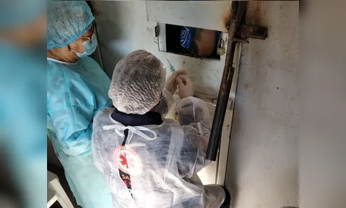 Detentos da Cadeia Pública de Arapongas recebem vacina