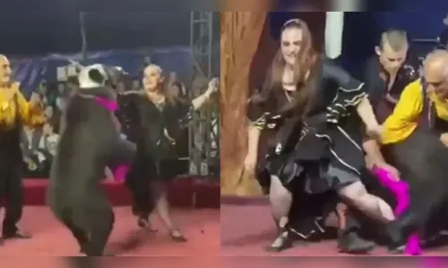 Domadora é atacada três vezes por urso durante apresentação