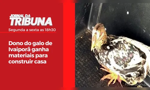 Dono do galo de Ivaiporã ganha materiais para construir casa
