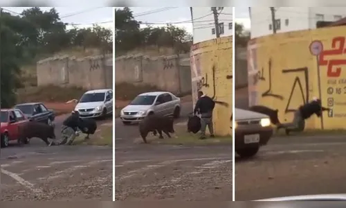 Entregador de app é atacado por porco durante trabalho; Veja