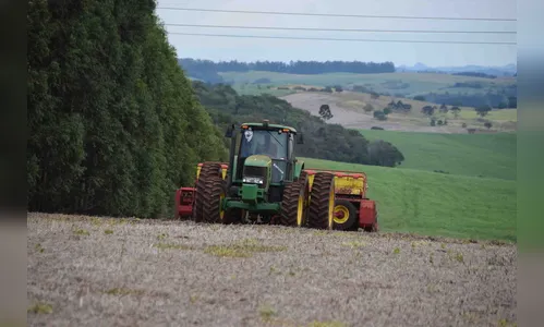 Após chuva, produtores apressam plantio de trigo na região