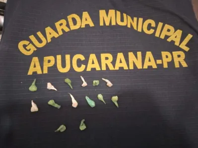 GCM prende homem com 14 pedras de crack em Apucarana