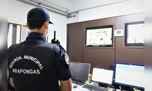 GM Arapongas aumenta em 350% as apreensões de maconha