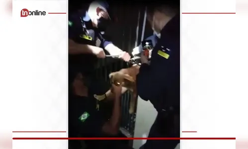 GM de Arapongas faz resgate emocionante de cachorra; assista