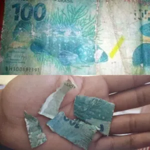 Garoto perde trufas ao receber nota de R$ 100 falsa