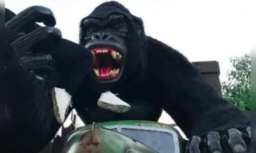 Garoto que comemorava aniversário cai de brinquedo