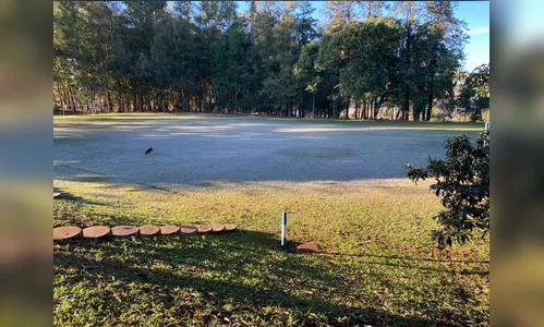 Lavouras são atingidas por geadas no Vale do Ivaí