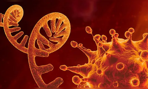 Idosa de 70 anos morre vítima da Covid em Marilândia do Sul