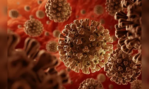 Idosa pode ter sido infectada pela variante através da filha