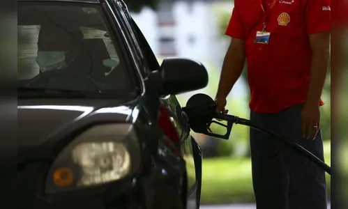 Método que transforma casca de coco em etanol obtém patente