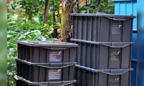 Ivaiporã vai distribuir composteiras  domésticas