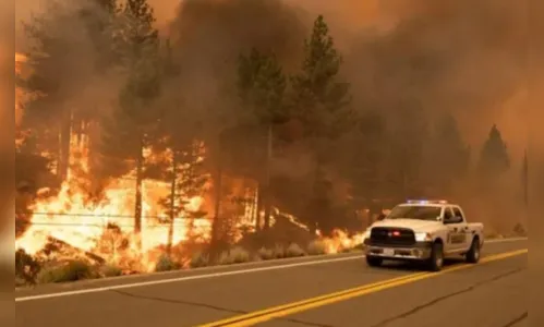 Incêndios devastam florestas da Califórnia neste domingo